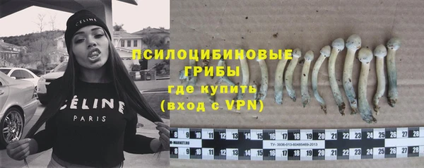 стаф Инта