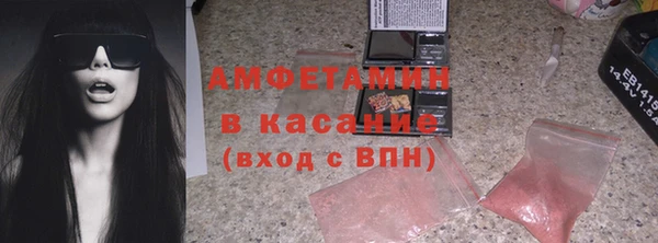 стаф Инта