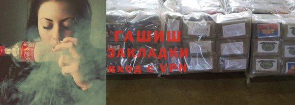 стаф Инта