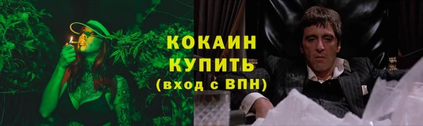 твердый Кущёвская