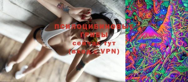 первитин Инсар