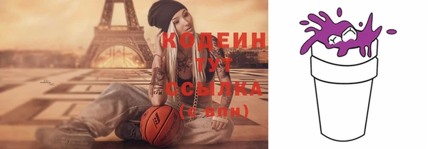 стаф Инта