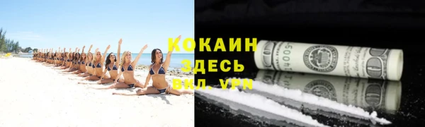 стаф Инта