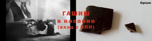 стаф Инта