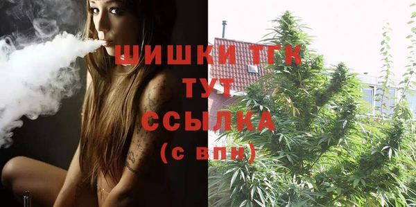 стаф Инта