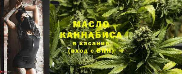 первитин Инсар