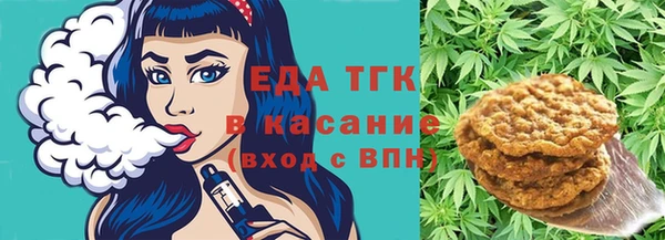 стаф Инта