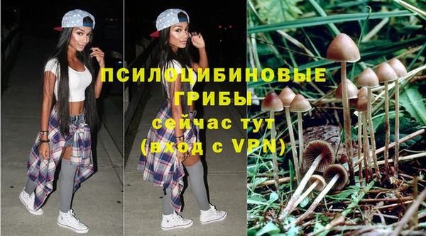 стаф Инта