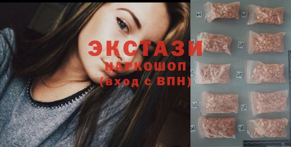 стаф Инта