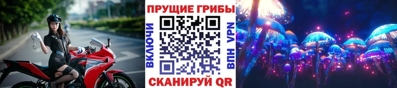 продажа наркотиков  гидра сайт  Галлюциногенные грибы ЛСД  Маркс 